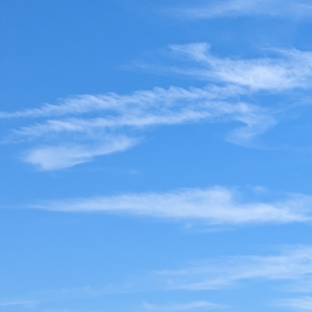 Meet your Posher, Stella